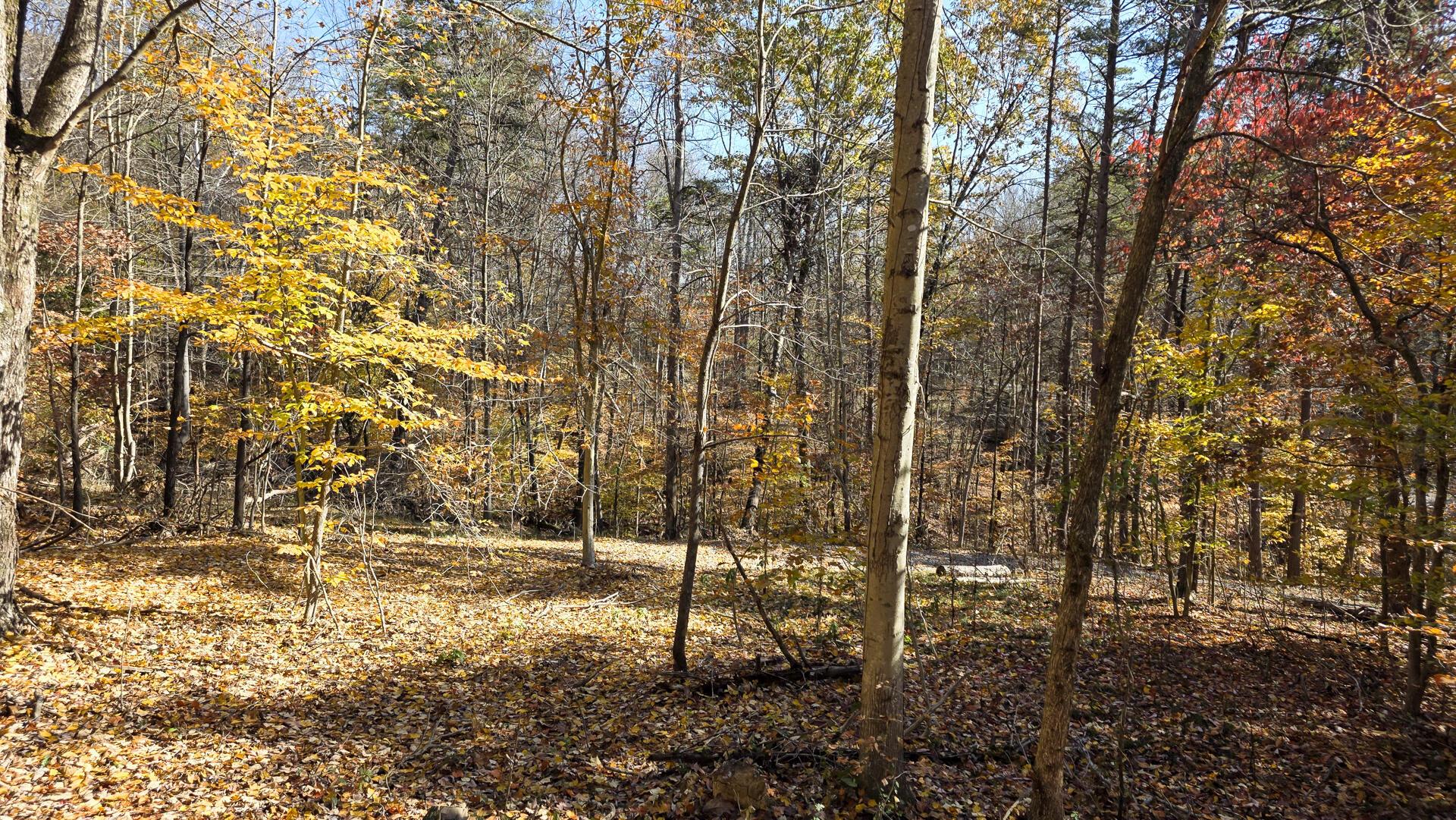 908 Nibert Road, Unit PONDS POPLAR RIDGE TRACT 2) Gallipolis, OH 45631 - Photo 17 of 25 CT-17