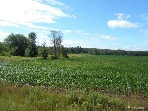 0 Huron Line Road Cass City, MI 48726 - Photo 3 of 9 Huron Line Road corn.jpg
