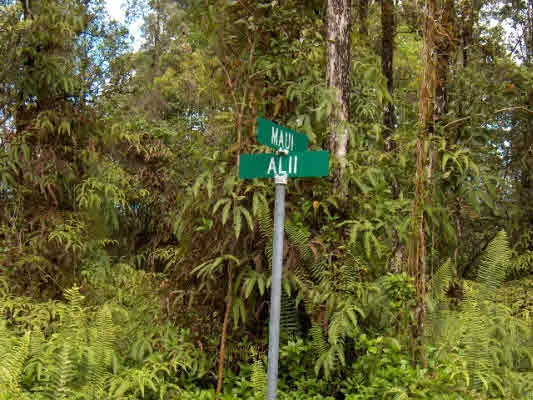 $9,000 | 1208 Alii Road, Pahoa, HI 96778