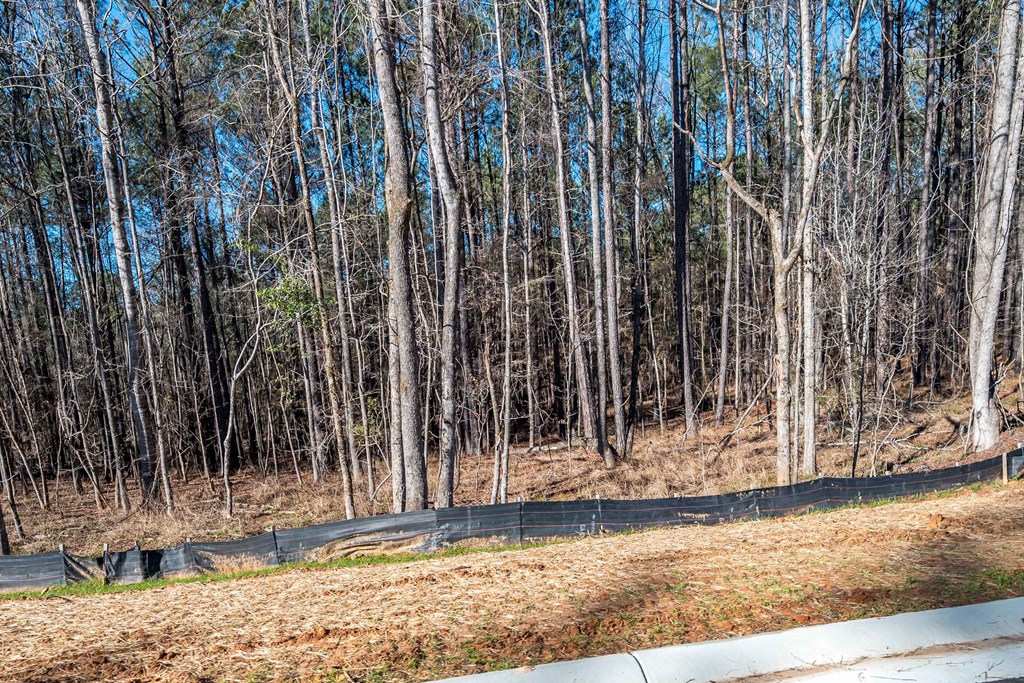8421 Ripple Ridge Columbus, GA 31904 - Photo 11 of 41 Gallery Image 11