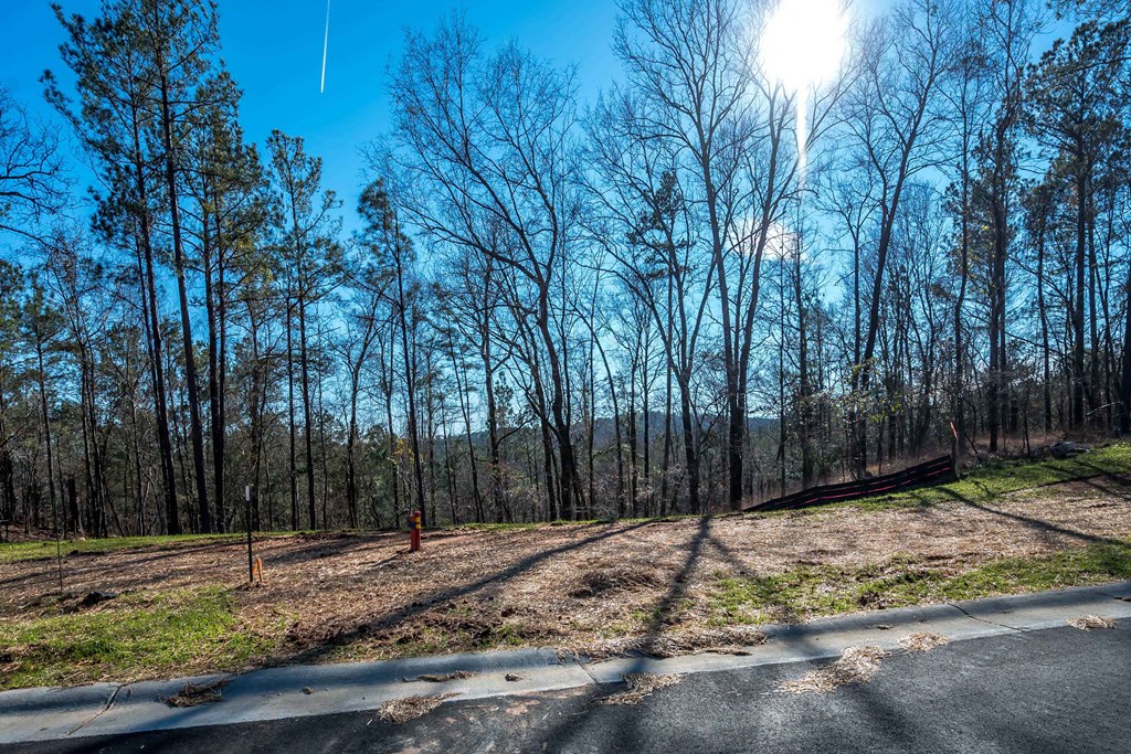 8421 Ripple Ridge Columbus, GA 31904 - Photo 17 of 41 Gallery Image 17