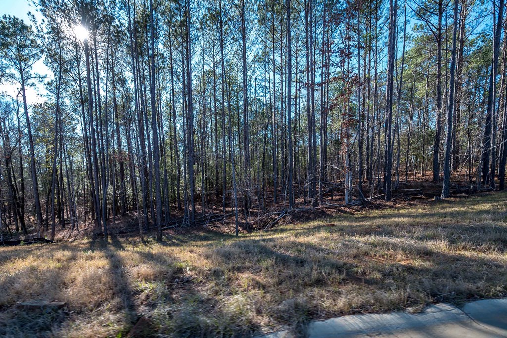 8421 Ripple Ridge Columbus, GA 31904 - Photo 8 of 41 Gallery Image 8