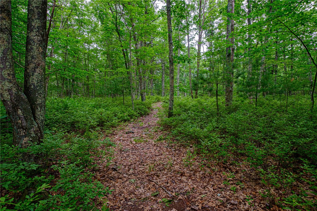 33 Foster Center Road Foster, RI 02825 - Photo 38 of 40