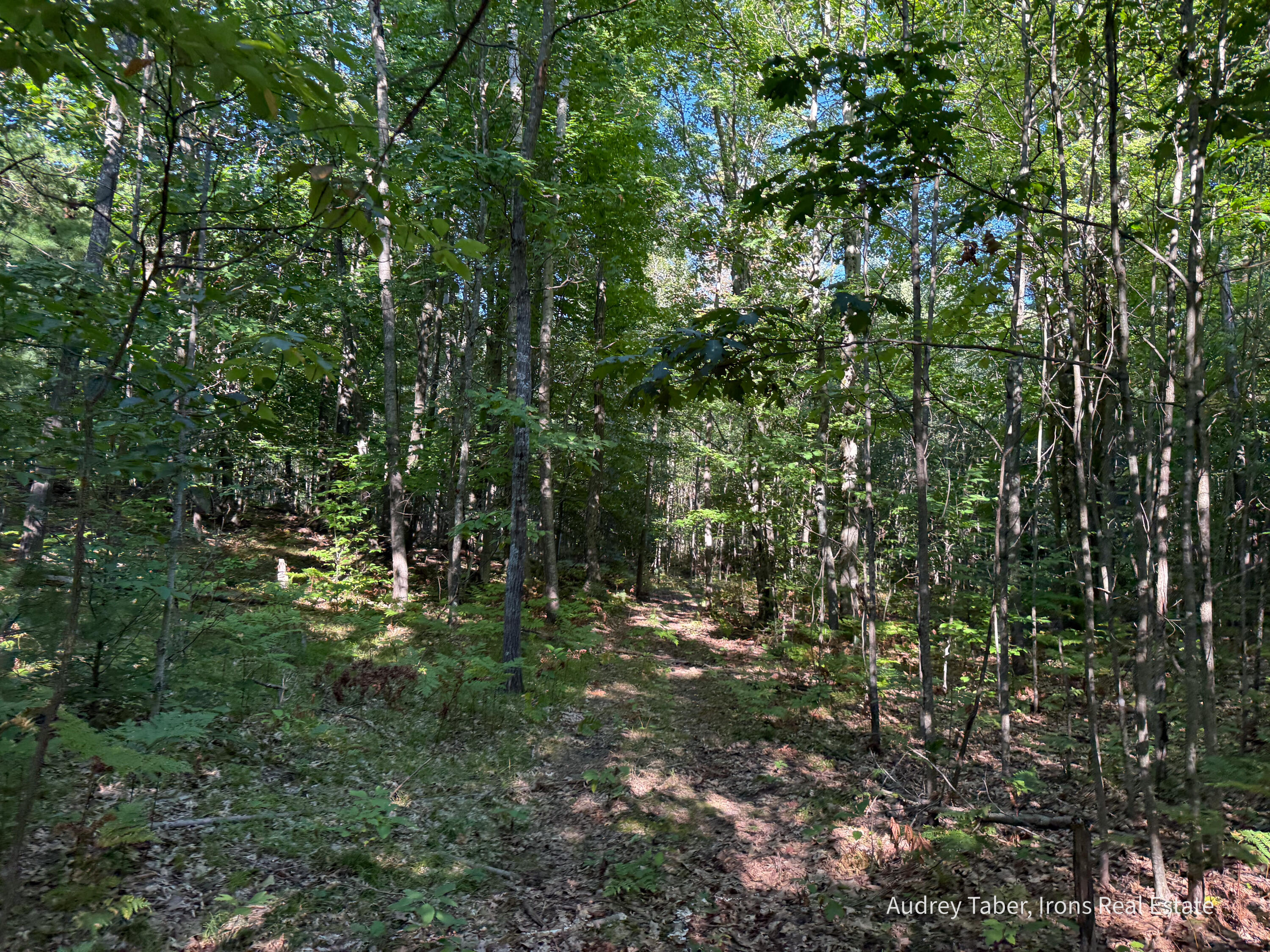 2 Clements Road Kaleva, MI 49645 - Photo 23 of 56 ClementsRd-66