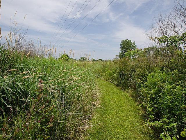 7301 Brookville Road South Lyon, MI 48178 - Photo 65 of 71 Photo 65