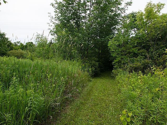 7301 Brookville Road South Lyon, MI 48178 - Photo 66 of 71 Photo 66