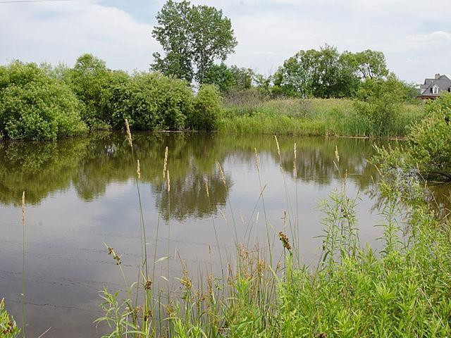 7301 Brookville Road South Lyon, MI 48178 - Photo 67 of 71 Photo 67