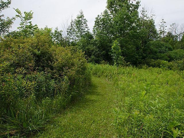 7301 Brookville Road South Lyon, MI 48178 - Photo 69 of 71 Photo 69