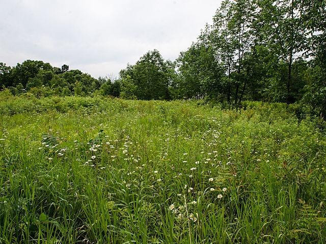 7301 Brookville Road South Lyon, MI 48178 - Photo 70 of 71 Photo 70