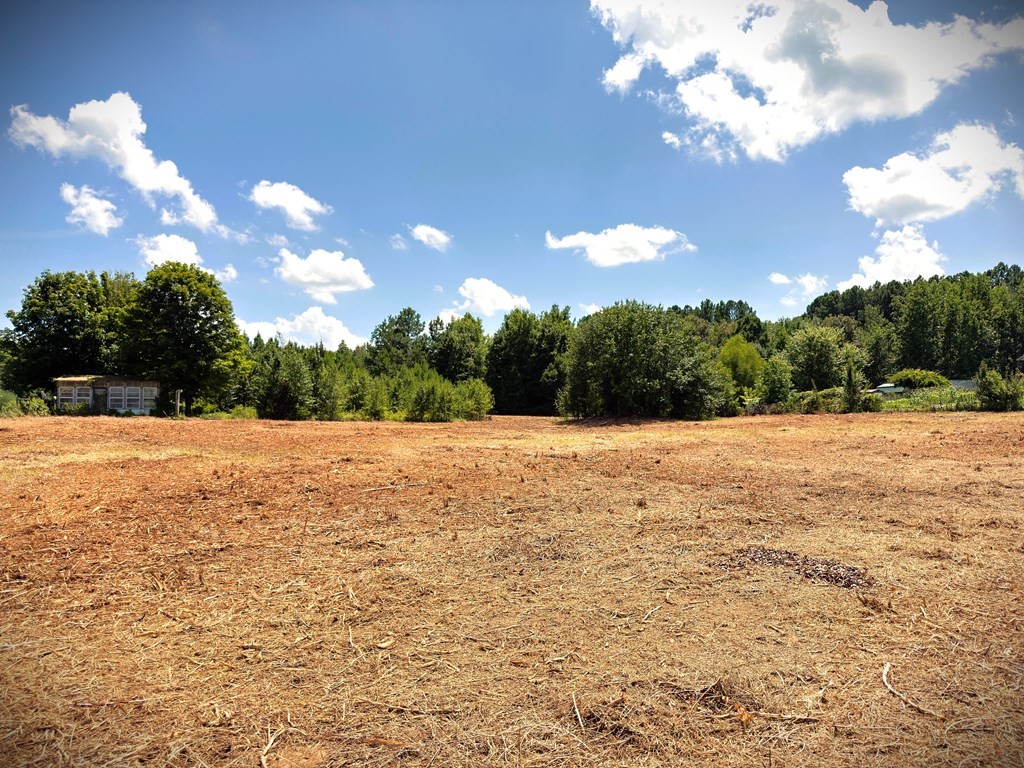 0 Marcrom Road Morrison, TN 37357 - Photo 10 of 26