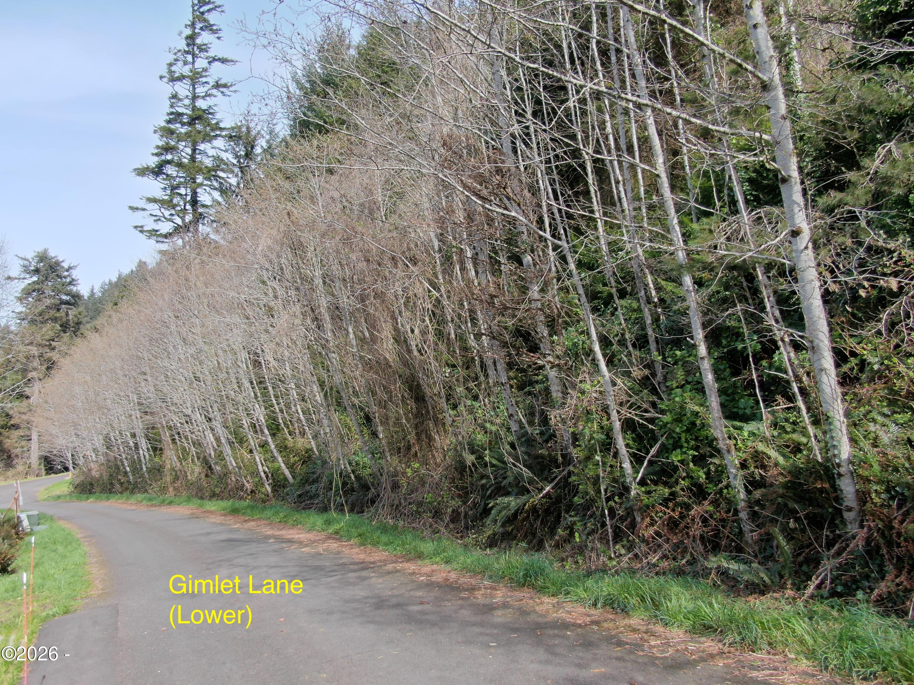 17 Gimlet Lane Yachats, OR 97498 - Photo 15 of 17 DJI_0304x