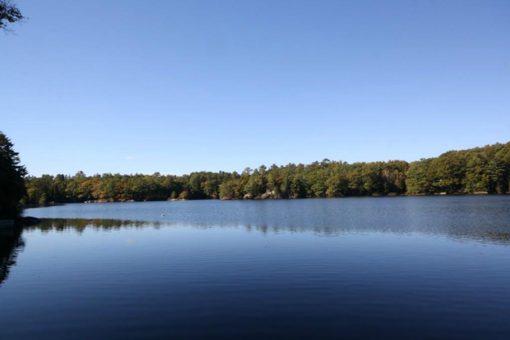 85 Lakeview Road West Boothbay Harbor, ME 04575 - Photo 4 of 24 View from dock on West Harbor Pond