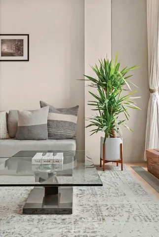 a living room with furniture and a potted plant