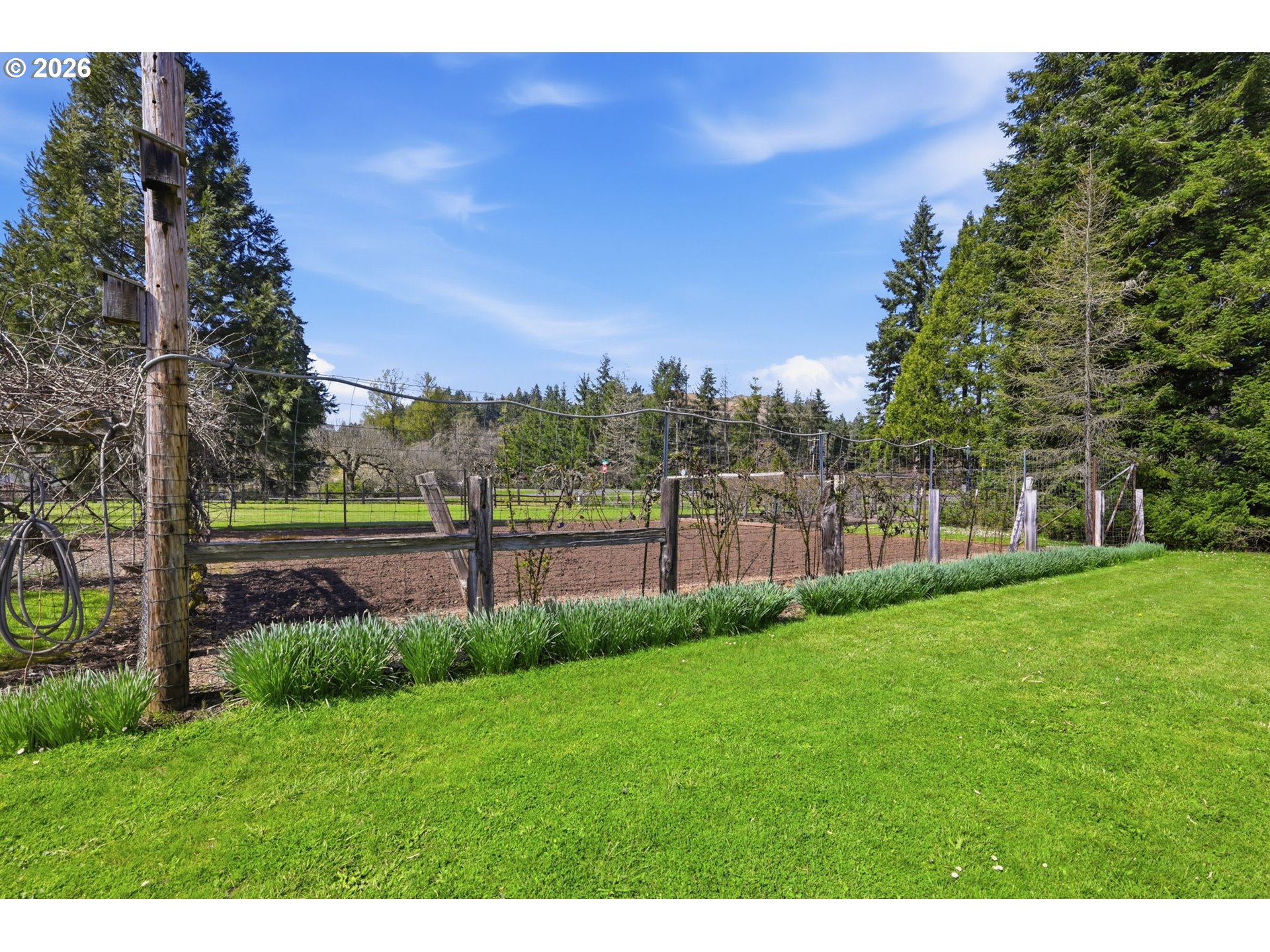 82281 Parvin Road Dexter, OR 97431 - Photo 40 of 46