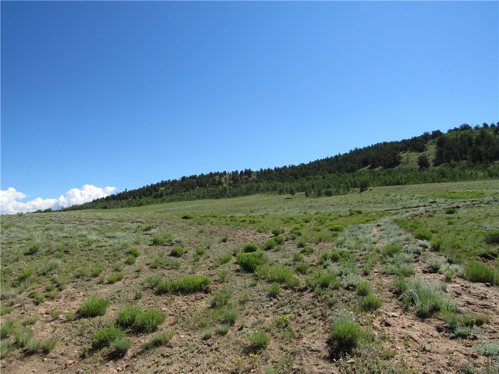 12950 Elkhorn Road Como, CO 80432 - Photo 5 of 30 Gallery Image 5
