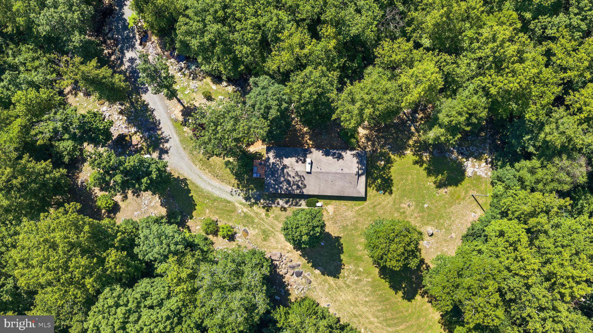 1319 Champe Plain Road Etlan, VA 22719 - Photo 8 of 63