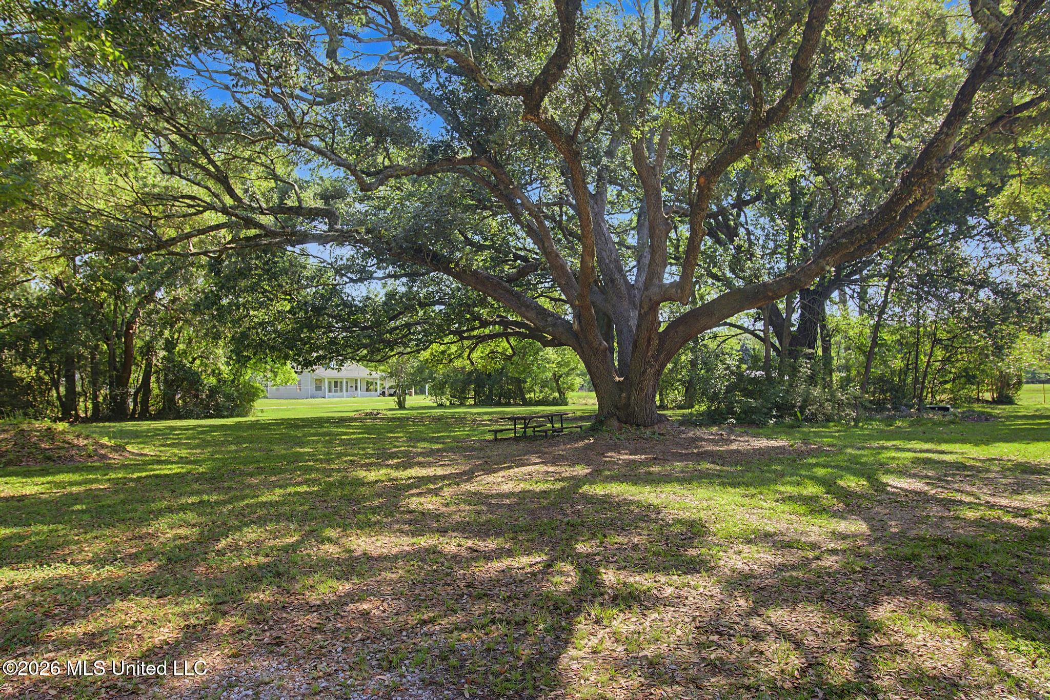 16066 Landon Road Gulfport, MS 39503 - Photo 28 of 30 IMG_6197