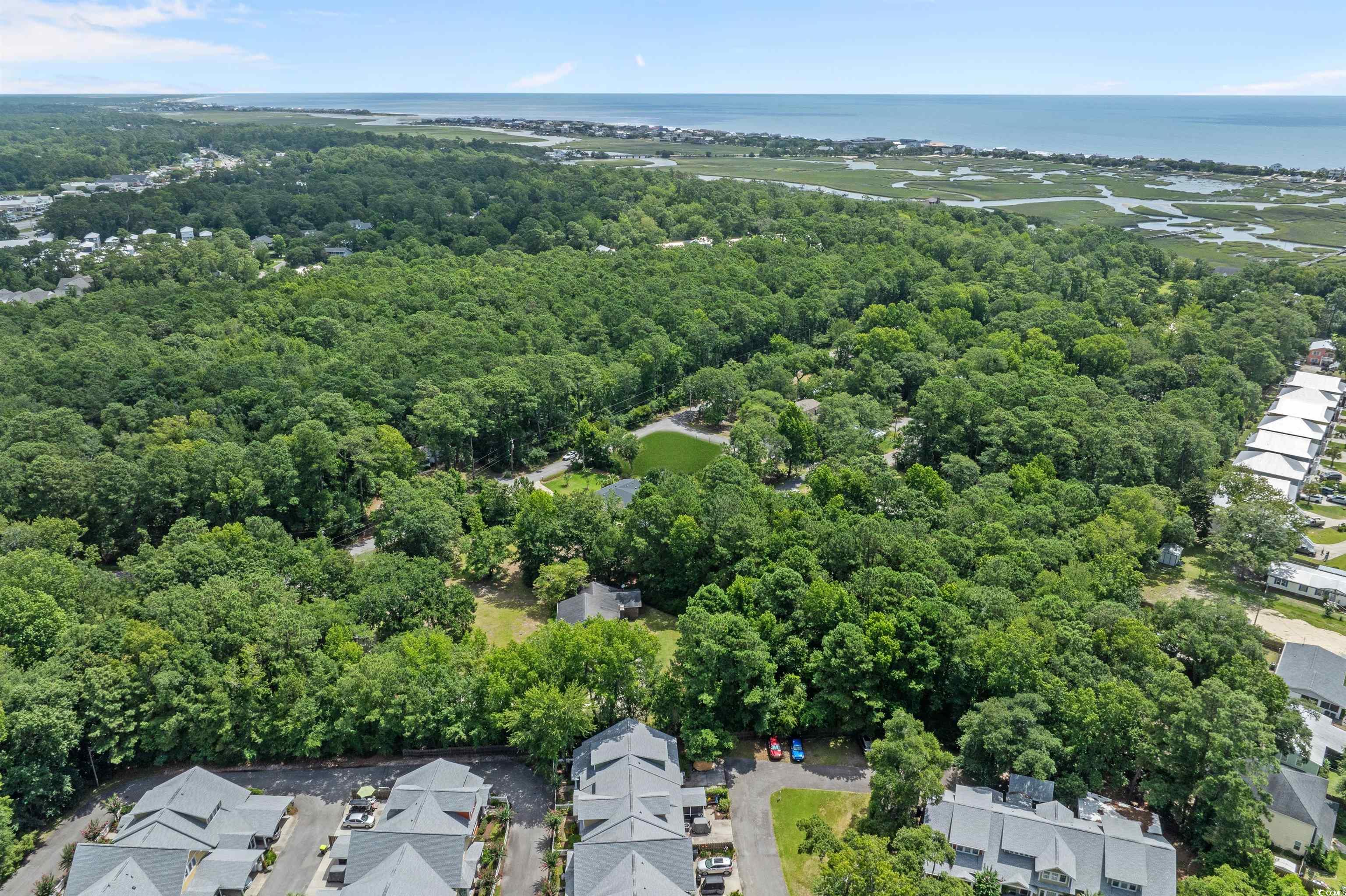 284 Player Road Pawleys Island, SC 29585 - Photo 8 of 23 Gallery Image 8