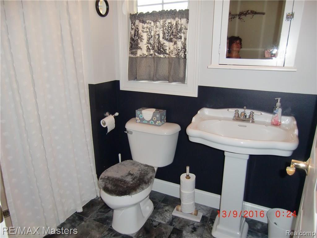 6633 Alcott Road Petersburg, MI 49270 - Photo 33 of 34 CIMG3562.JPG