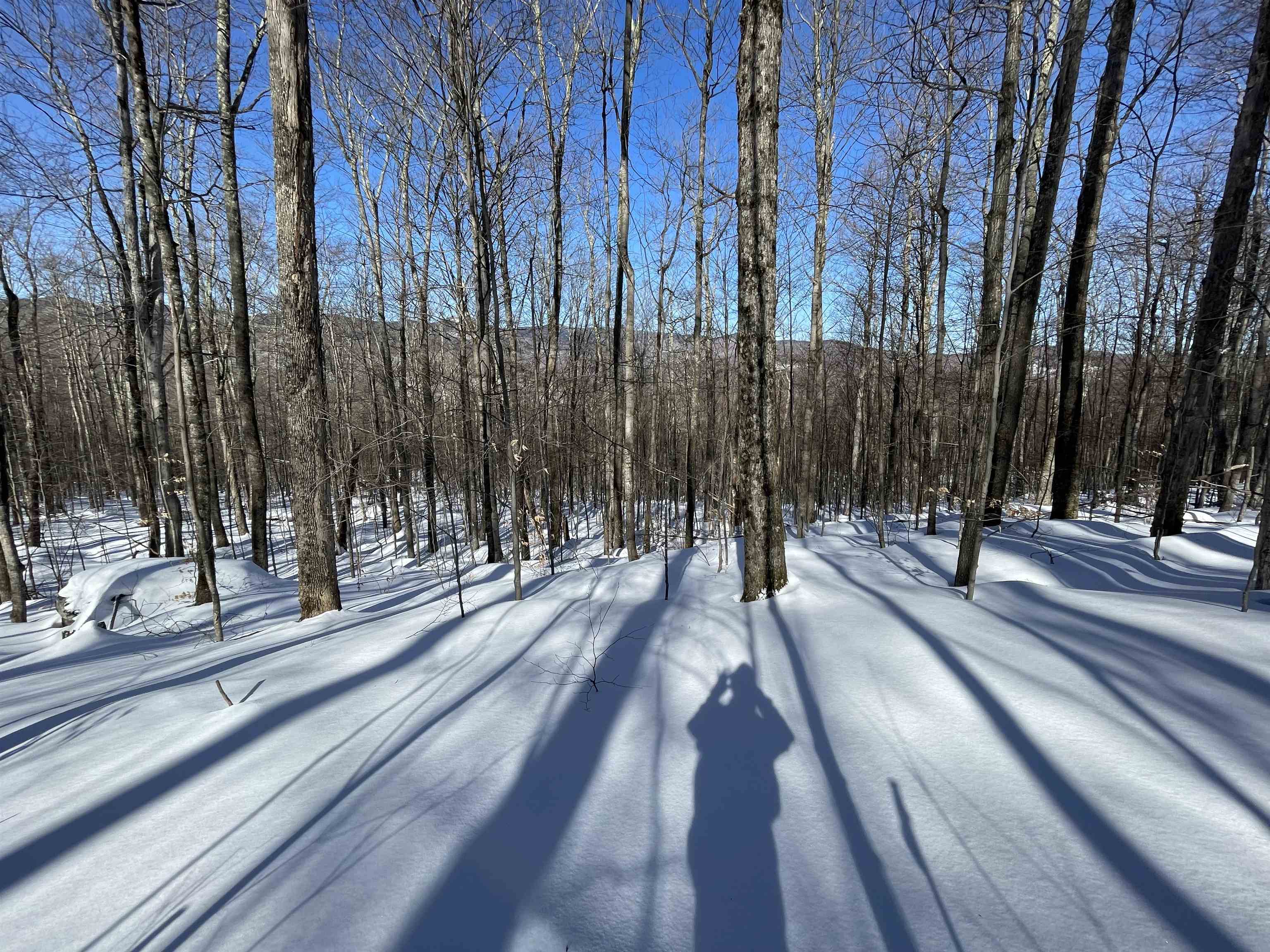Bassett Hill Road Waitsfield, VT 05673 - Photo 1 of 5