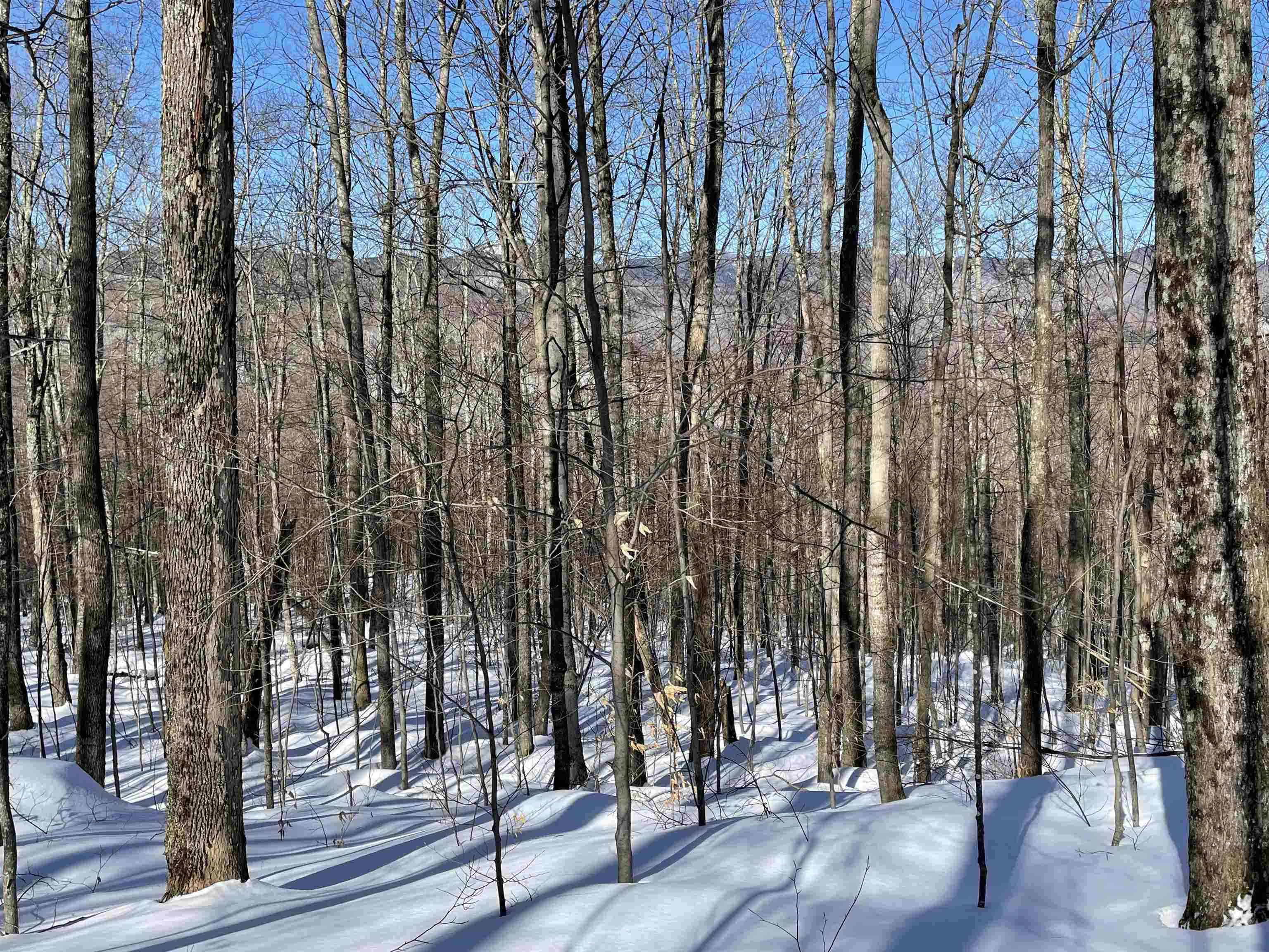 Bassett Hill Road Waitsfield, VT 05673 - Photo 2 of 5