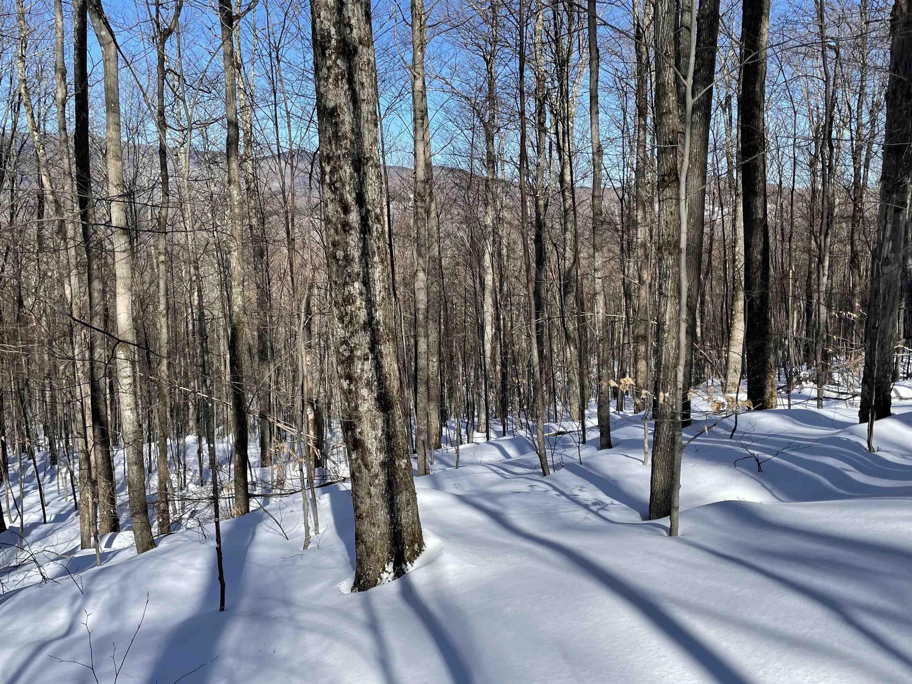 Bassett Hill Road Waitsfield, VT 05673 - Photo 3 of 5