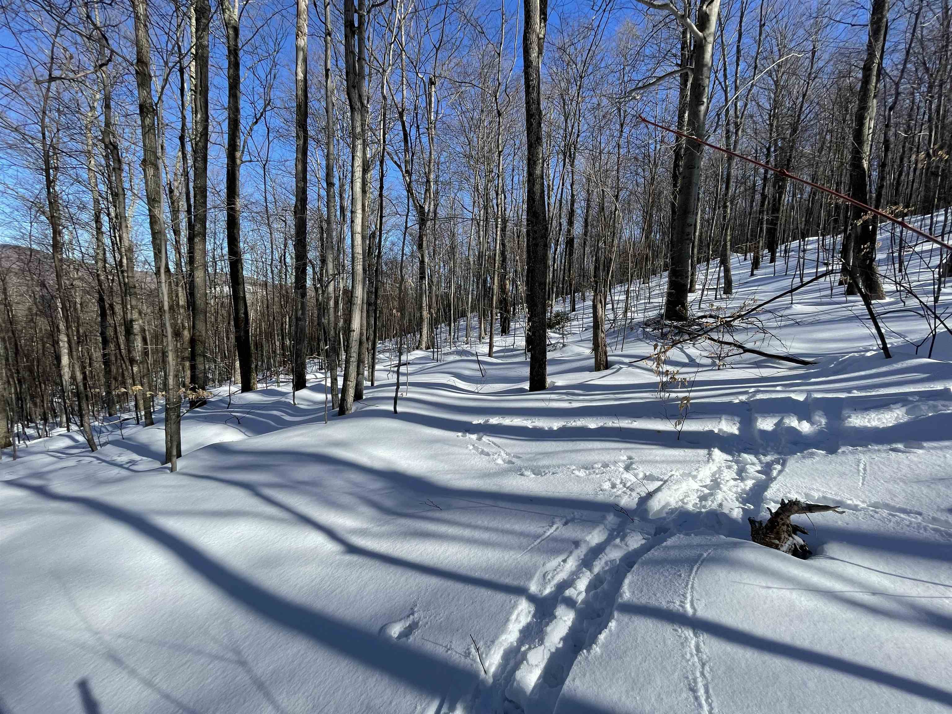 Bassett Hill Road Waitsfield, VT 05673 - Photo 4 of 5