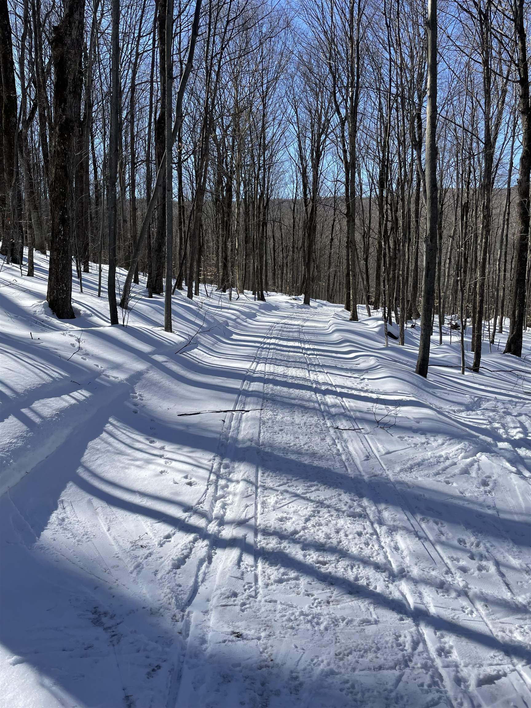 Bassett Hill Road Waitsfield, VT 05673 - Photo 5 of 5