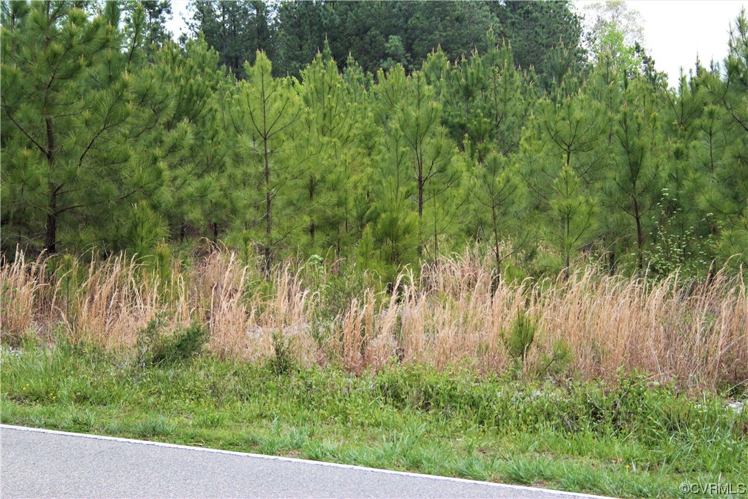 2040 Manakintown Ferry Road Midlothian, VA 23113 - Photo 7 of 10 Gallery Image 7