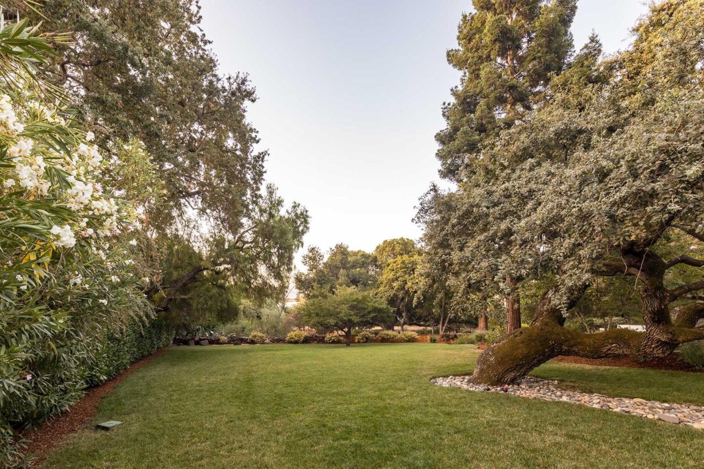 953 Roble Ridge Road Palo Alto, CA 94306 - Photo 47 of 50 a view of yard with green space