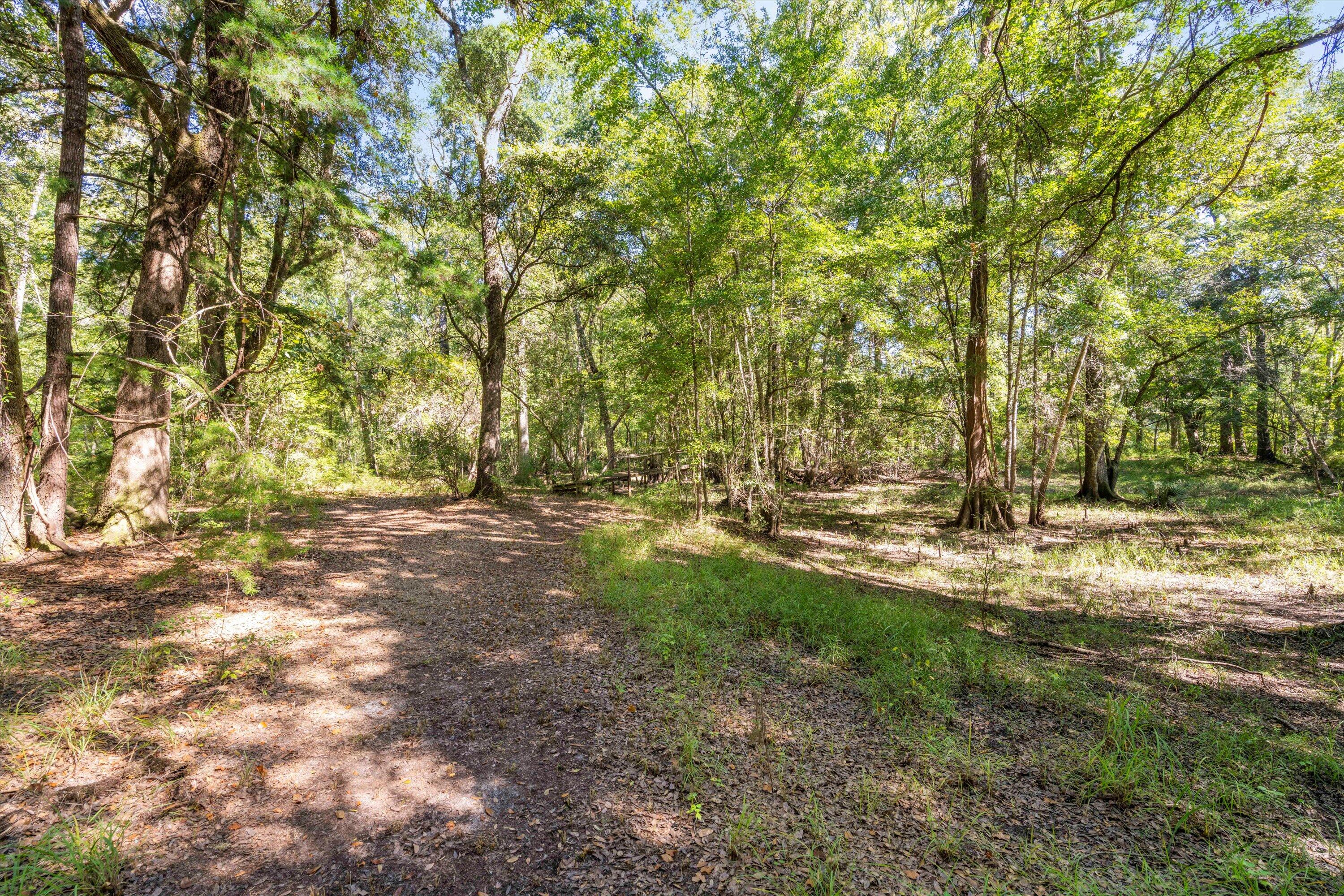 139 Badger Lane Round O, SC 29474 - Photo 12 of 24 22-DSC08456
