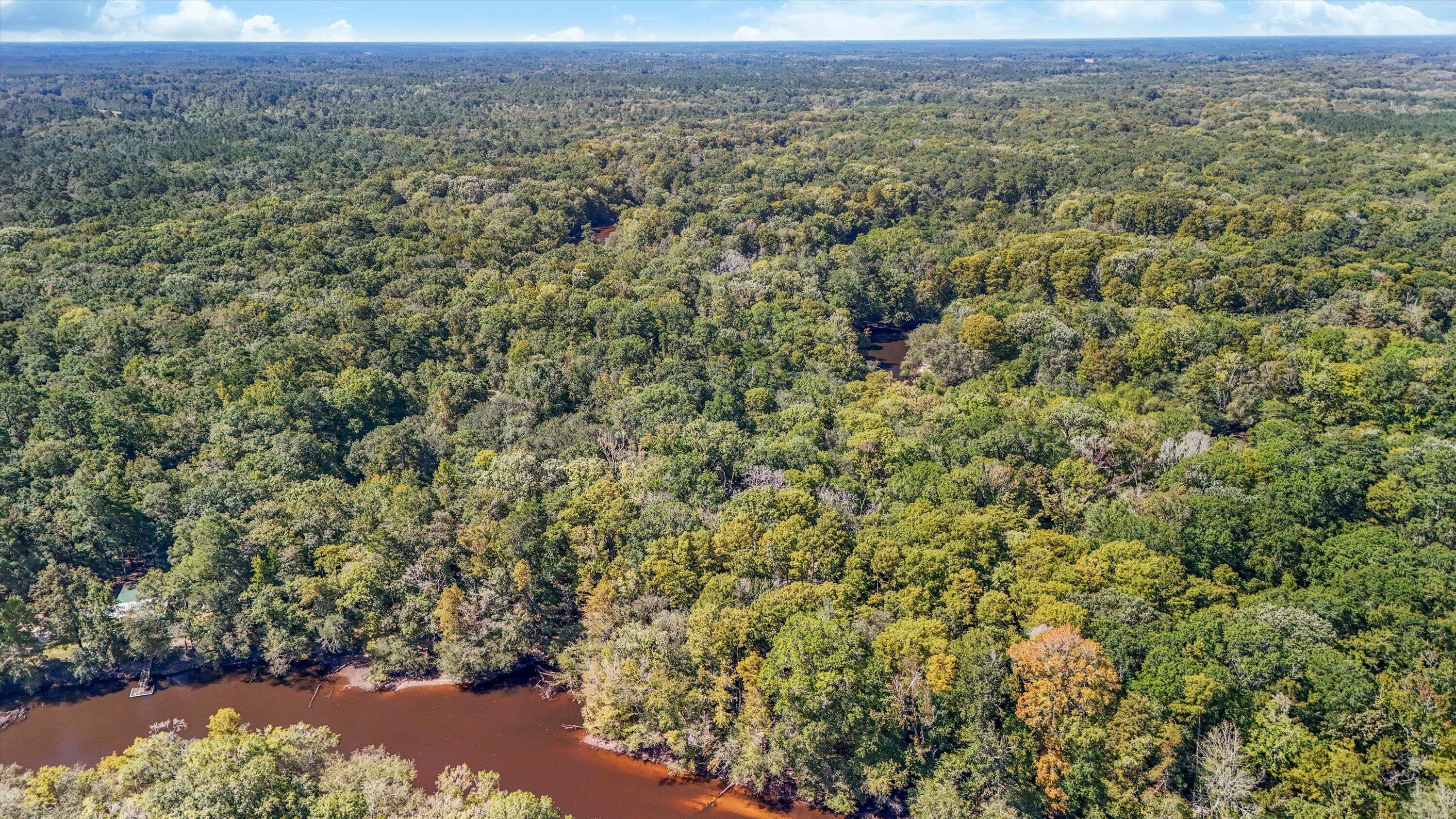 139 Badger Lane Round O, SC 29474 - Photo 19 of 24 04-DJI_20250913112716_0036_D_1
