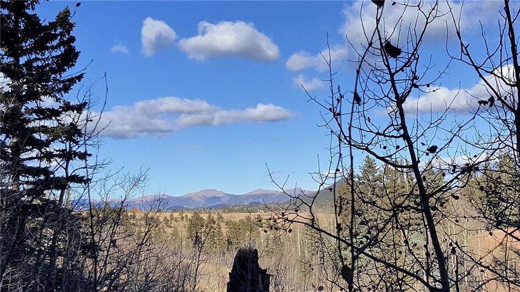 427 Old Squaw Road Como, CO 80432 - Photo 14 of 25 Gallery Image 14