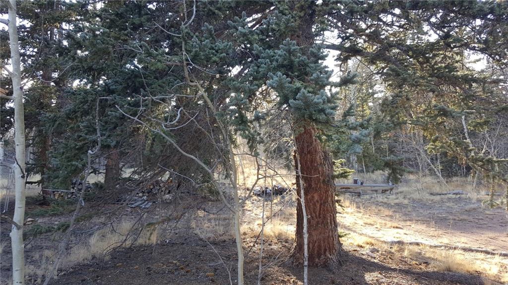 427 Old Squaw Road Como, CO 80432 - Photo 16 of 25 Gallery Image 16