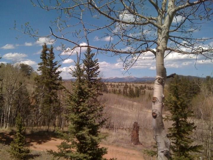 427 Old Squaw Road Como, CO 80432 - Photo 23 of 25 Gallery Image 23