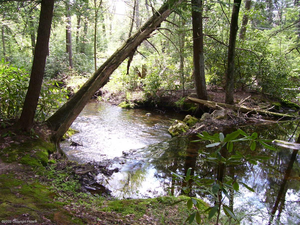 15 Rhododendron Trail Jim Thorpe, PA 18229 - Photo 17 of 18 View of stream