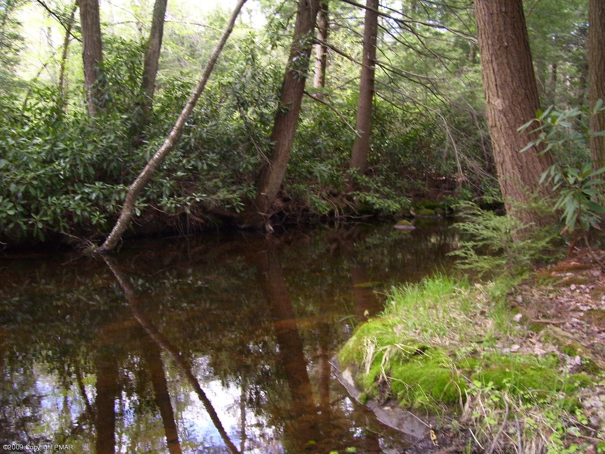 15 Rhododendron Trail Jim Thorpe, PA 18229 - Photo 18 of 18 View of stream