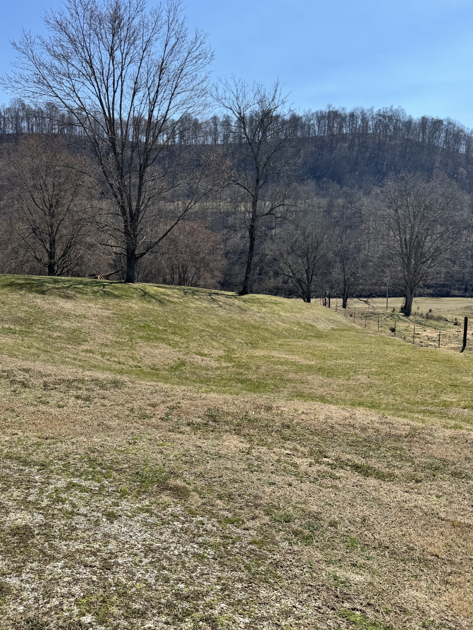 267 Difficult Road Pleasant Shade, TN 37145 - Photo 13 of 20 a view of a yard with an trees