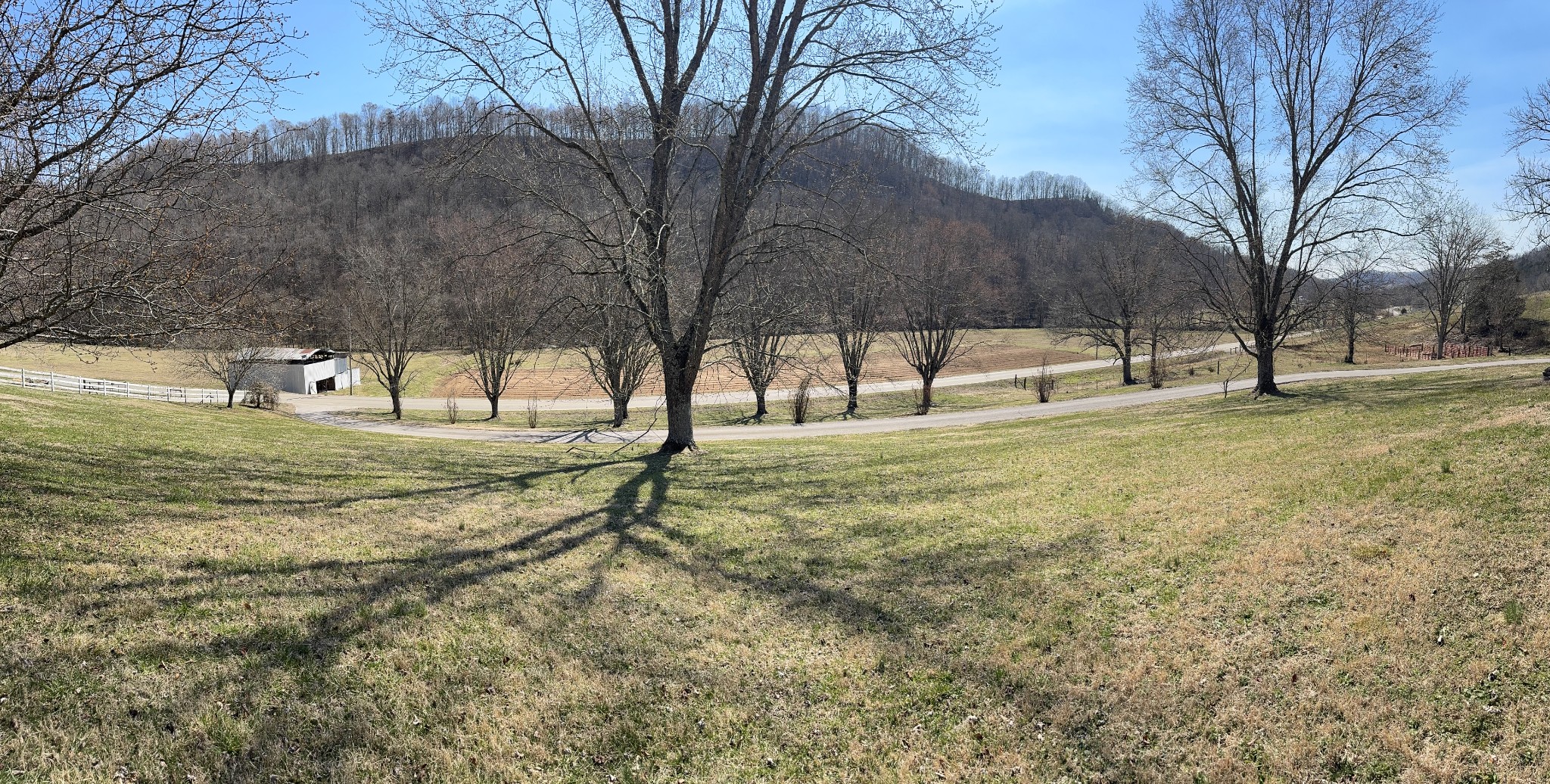 267 Difficult Road Pleasant Shade, TN 37145 - Photo 5 of 20 a view of a yard with a tree