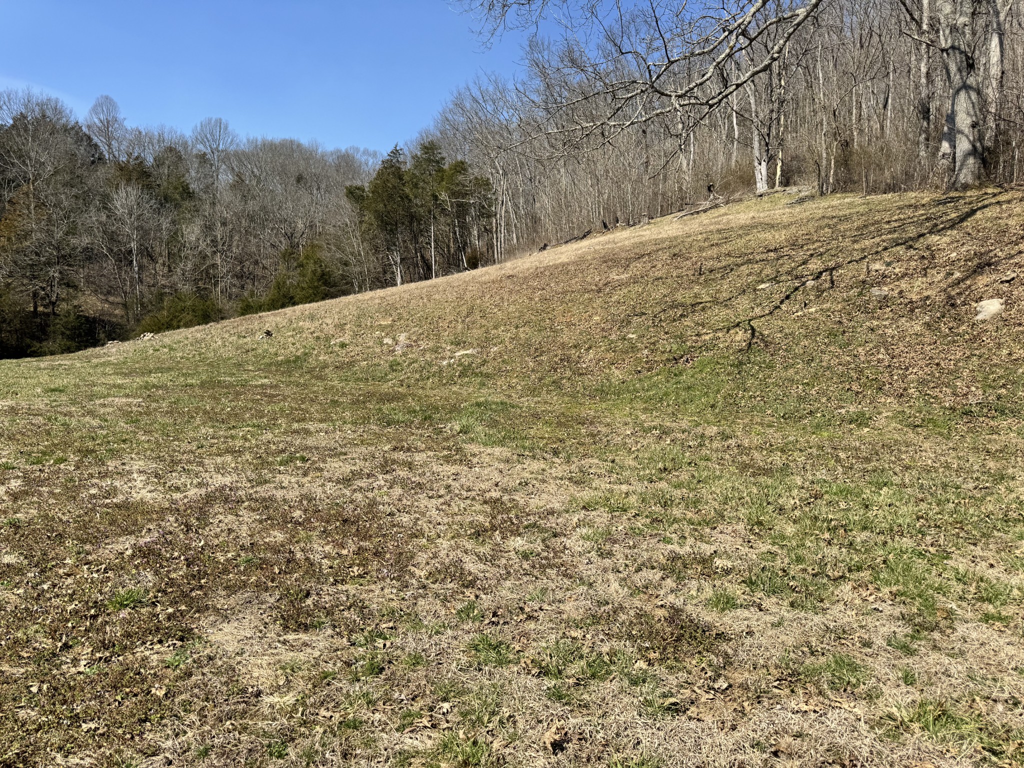 267 Difficult Road Pleasant Shade, TN 37145 - Photo 6 of 20