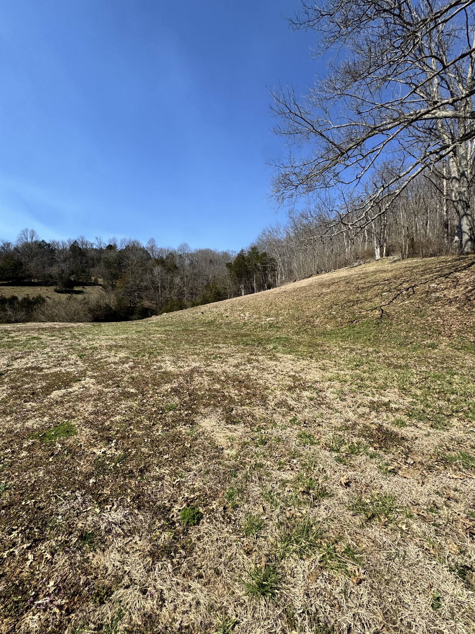 267 Difficult Road Pleasant Shade, TN 37145 - Photo 7 of 20 a view of a field with an ocean view