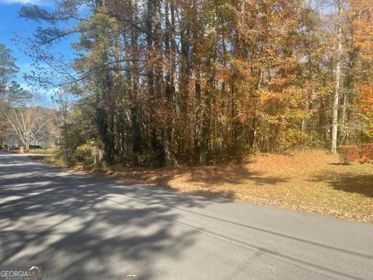 0 Erin Road Southwest Atlanta, GA 30331 - Photo 4 of 6 a view of yard with trees