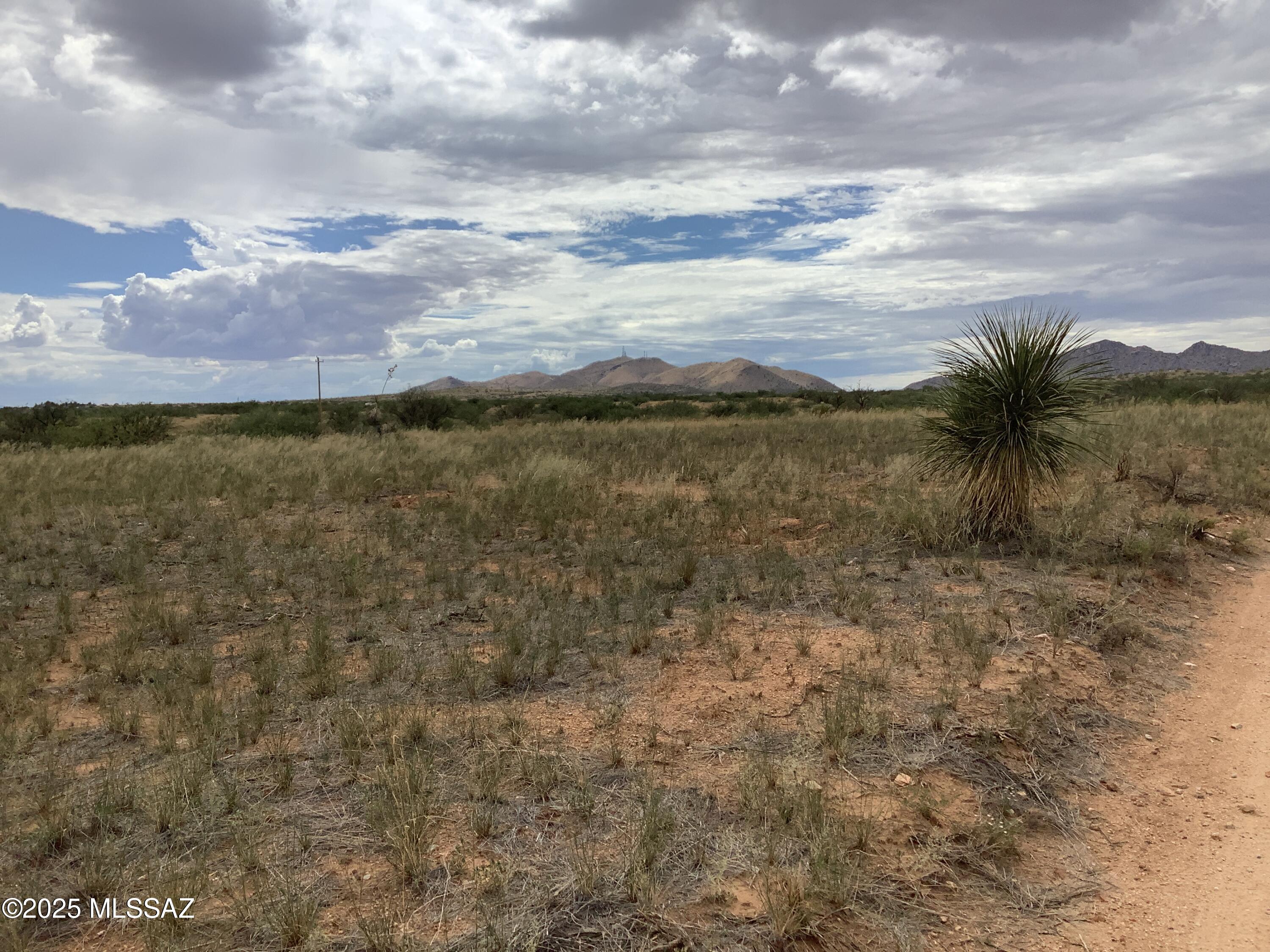 4.00-ac North Johnson Road Dragoon, AZ 85609 - Photo 19 of 31 IMG_1255