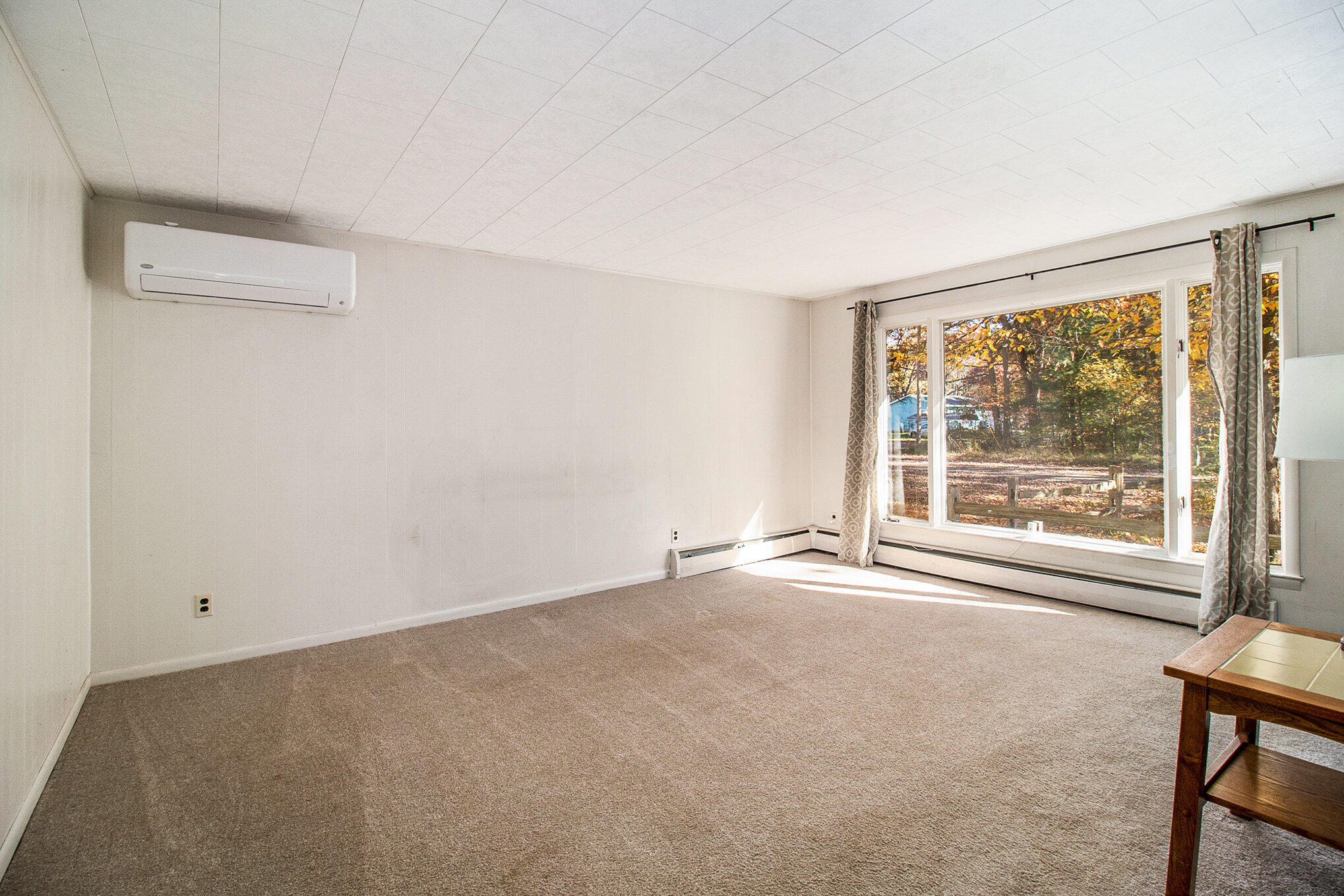 4548 Young Street Brethren, MI 49619 - Photo 4 of 17 5r6a1977_379