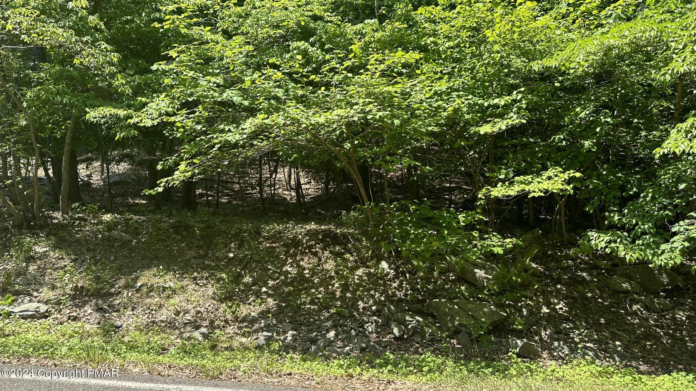 Lot 139 Berkshire Court Bushkill, PA 18324 - Photo 3 of 52 a view of a tree in a yard