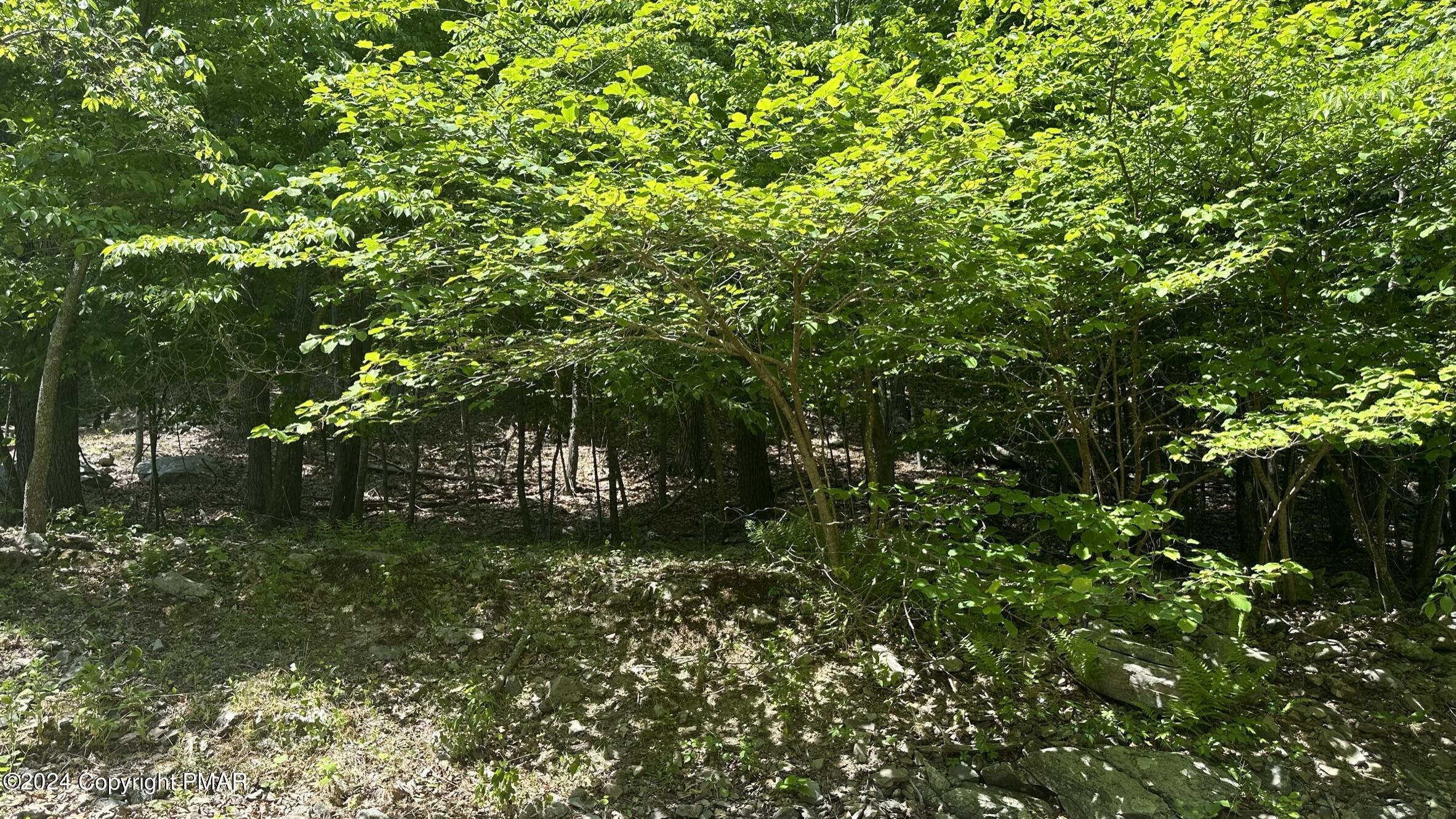 Lot 139 Berkshire Court Bushkill, PA 18324 - Photo 4 of 52 a backyard of a house with lots of green space