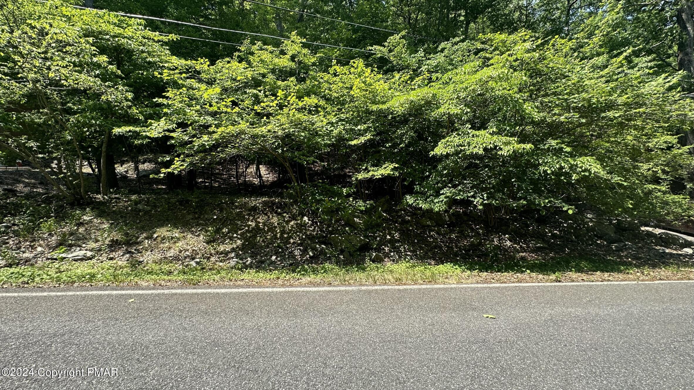 Lot 139 Berkshire Court Bushkill, PA 18324 - Photo 5 of 52 a view of a yard with a tree