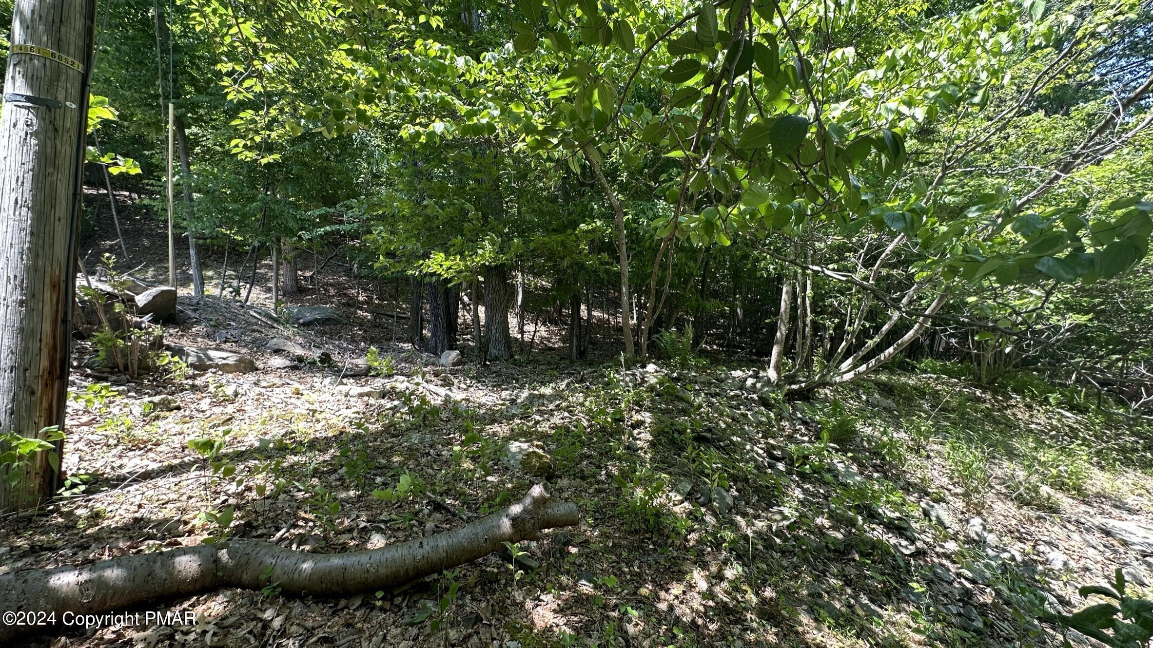 Lot 139 Berkshire Court Bushkill, PA 18324 - Photo 6 of 52 a view of outdoor space and a yard