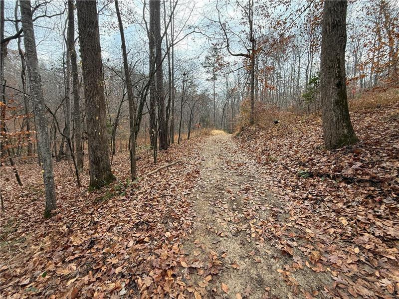 0 Falling Pines Road Dahlonega, GA 30533 - Photo 4 of 10