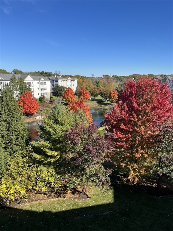 418 John Mahar Highway, Unit 408 Braintree, MA 02184 - Photo 33 of 35 a view of a yard